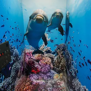 https://station-ryokan-sparkling-dolphins-kyoto.hotels-in-kyoto.org
